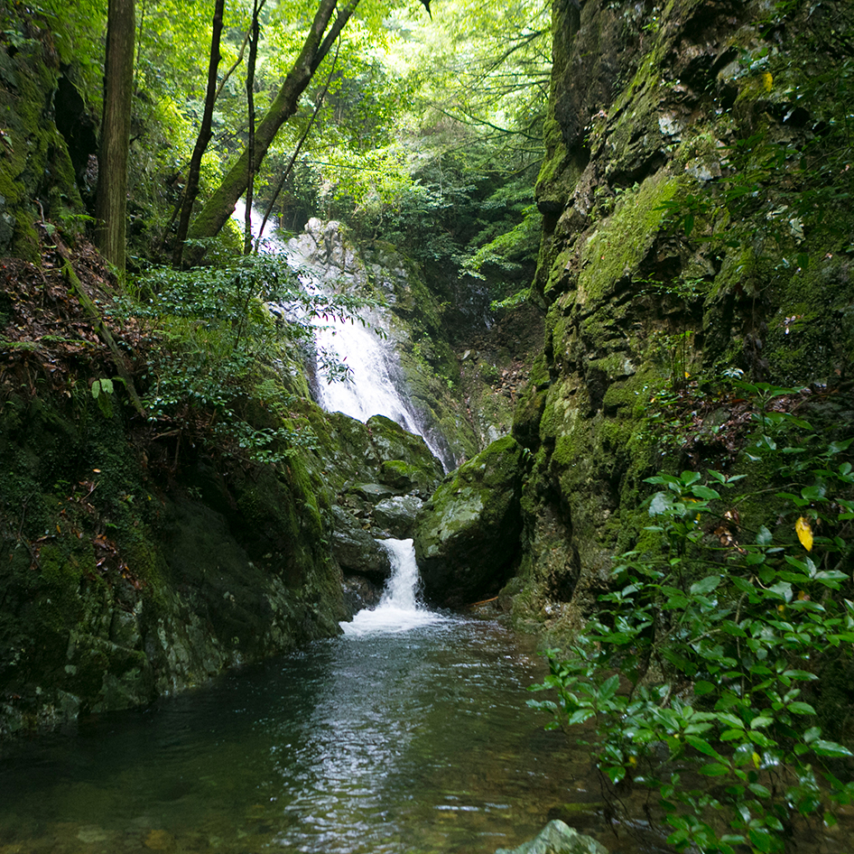 自分が好きになった土地がもたらす 自然の営みの中で生きていく Ikema 山口県山口市 Onestory