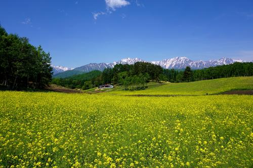 日本の屋根 たる急峻な山々と共存し育まれた数々の産業で 中部地方を牽引 長野 Onestory