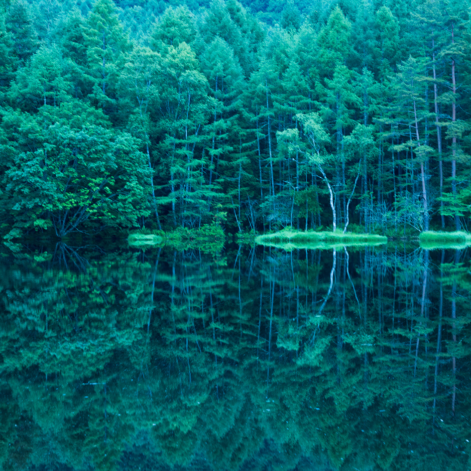 静寂の水面に溶けるように映る深緑の色彩が あたり一面を染める 御射鹿池 長野県茅野市 Onestory
