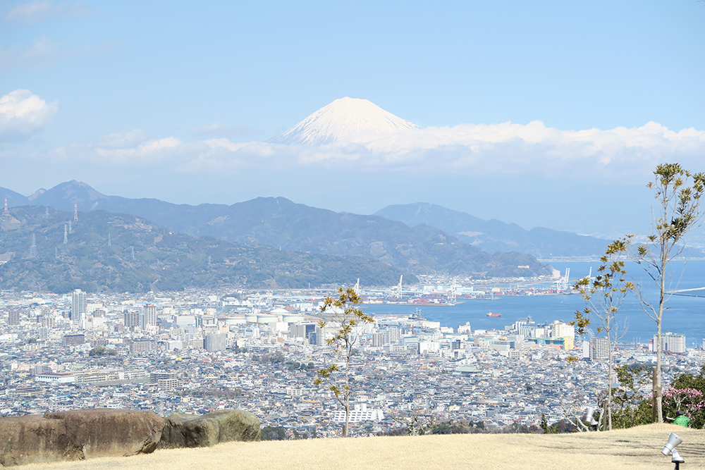 油絵　風景画　富士山　三保の松原 トライ様専用【ART】辻京子真筆(三保の松原と富士山)4号の通販