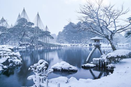 堂々たる松の枝ぶりを守るための叡智 雪吊り が告げる北陸の冬 兼六園 石川県金沢市 Onestory