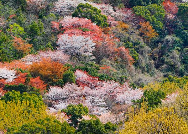 1785_20180309220515_5aa2868b9b