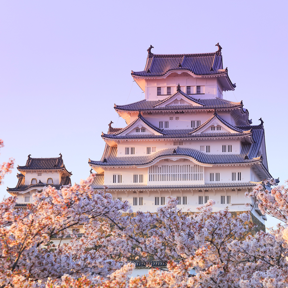 日本古来の美意識を見事に体現した 白亜の城と桜の共演 姫路公園 兵庫県姫路市 Onestory