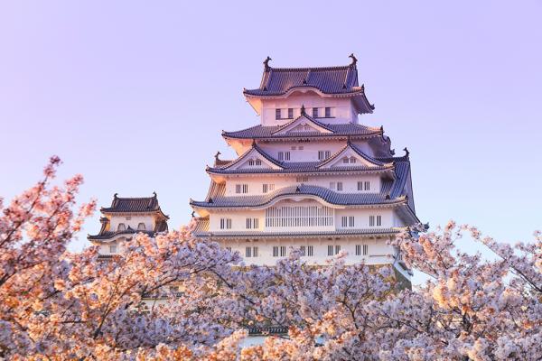 桜と姫路城の風景画　屏風式　日本画　1995年 桜と姫路城の風景画 屏風式 日本画 1995年 桜と姫路城の風景画 屏風式