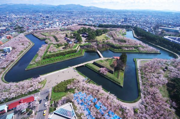 春限定の美しさ。希少な星形要塞を桜色で彩る、約1,600本もの