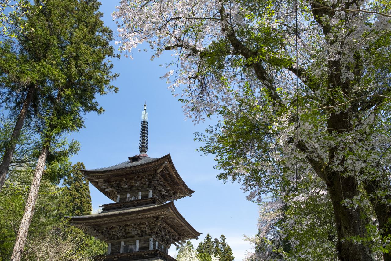 仏都・会津の光陰を見つめ続けてきた、古刹の境内を満たす静謐さ。[法 