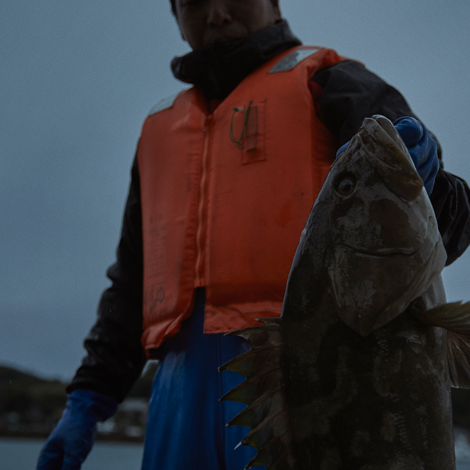 自らに厳しい基準を課し 美味なるクエを守る角島の漁師たち Fisherman S Wharf Shimonoseki 第三海竜丸 山口県下関市 Onestory