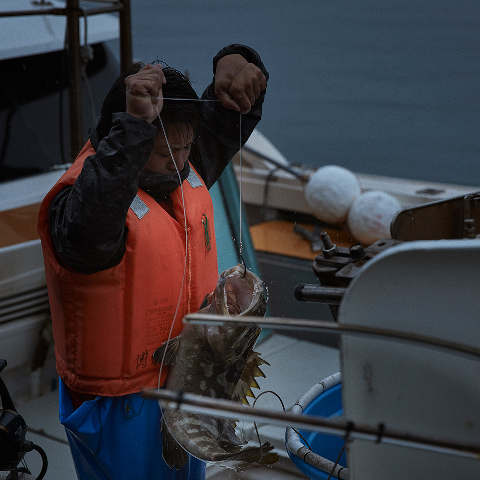 自らに厳しい基準を課し 美味なるクエを守る角島の漁師たち Fisherman S Wharf Shimonoseki 第三海竜丸 山口県下関市 Onestory