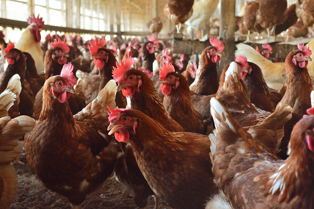  5.エビタ・エル・アルコール・イ・ラス・ベビダス・アスカラダス