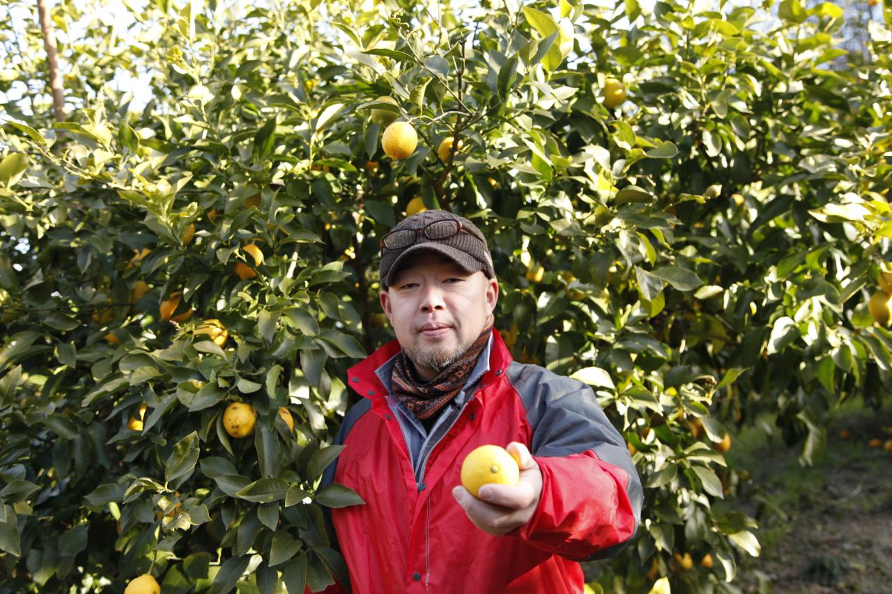瀬戸田のレモンに新しい価値を 『citrus farms たてみち屋