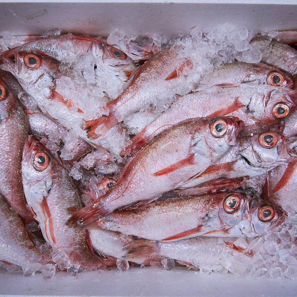 感動したノドグロの味わいをそのままに届ける0度熟成の開き干し Fisherman S Wharf Shimonoseki 山賀 山口県下関市 Onestory