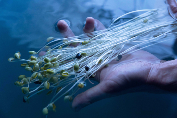 普通じゃない」を「売り」にする。津軽の“陸の孤島”で生まれる絶品野菜