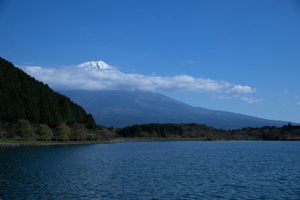 2854_20190226223840_5c754160f0