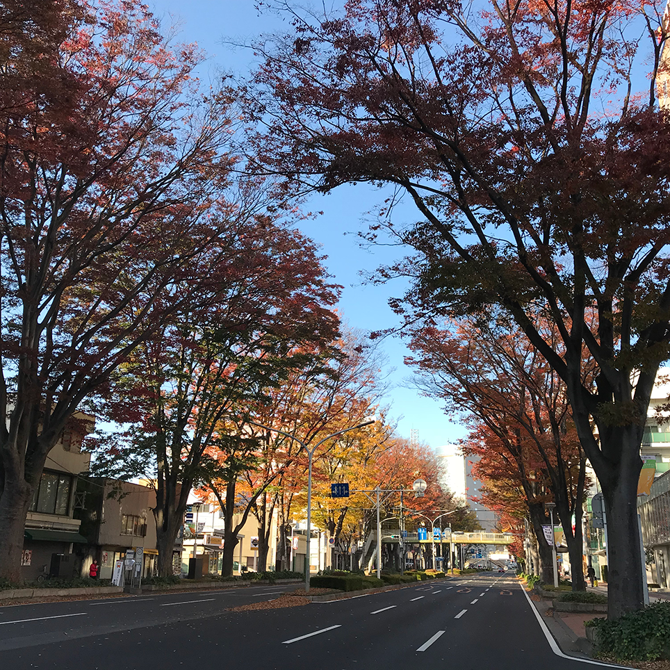 前橋 市役所