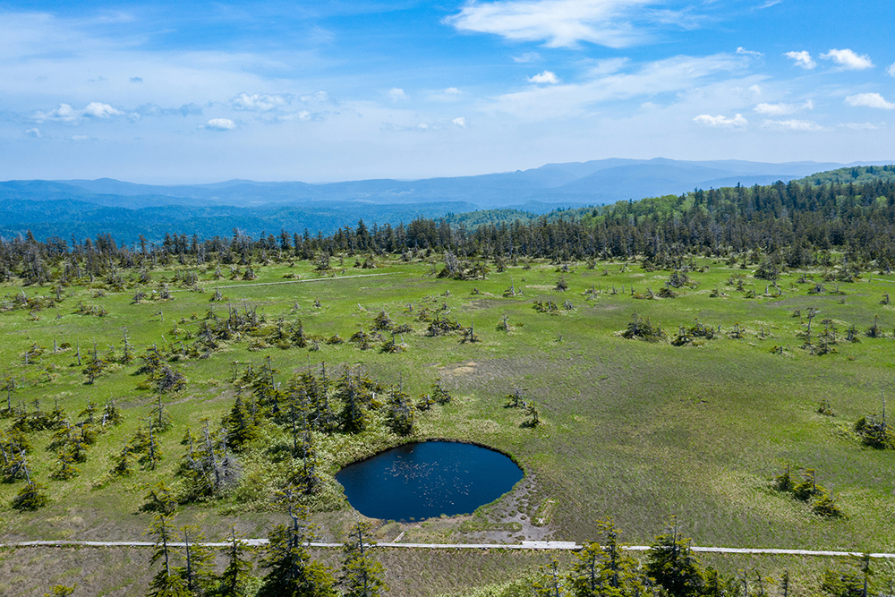 十二滝町」の幻像が揺らめく仁宇布の森は、爽やかで美しい秘密をその裡