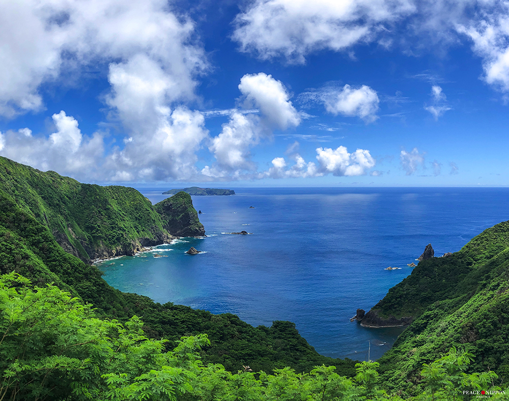 これは母なる抱擁か 優しい風と甘い空気に身を包まれ 僕は無防備になった 東京 Quot 真 Quot 宝島 東京都 母島 Onestory