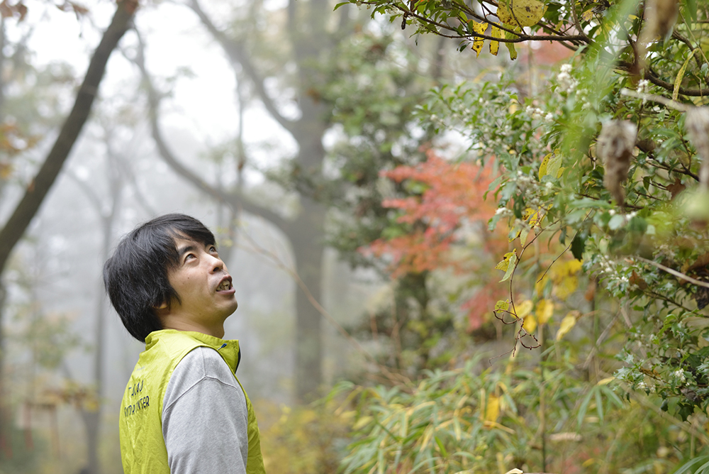 京王電鉄』で1時間足らず。錦繍の秋に包まれる、感動の高尾山へ