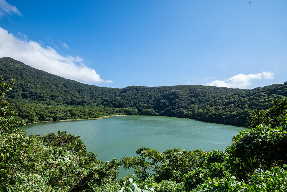 東京の離島 三宅島が誇る美しい自然 Onestory