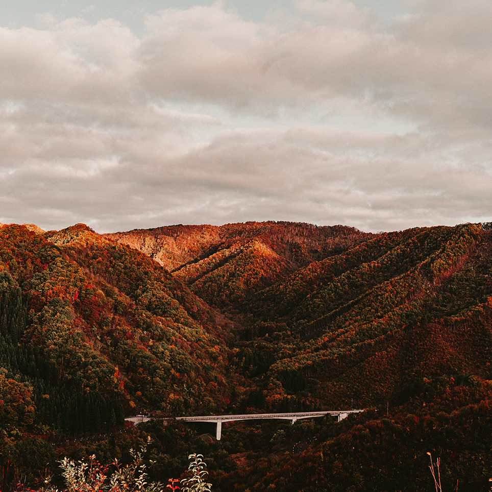 抽象的な自然風景写真 FK+_50A0510_TP_V4.jpg