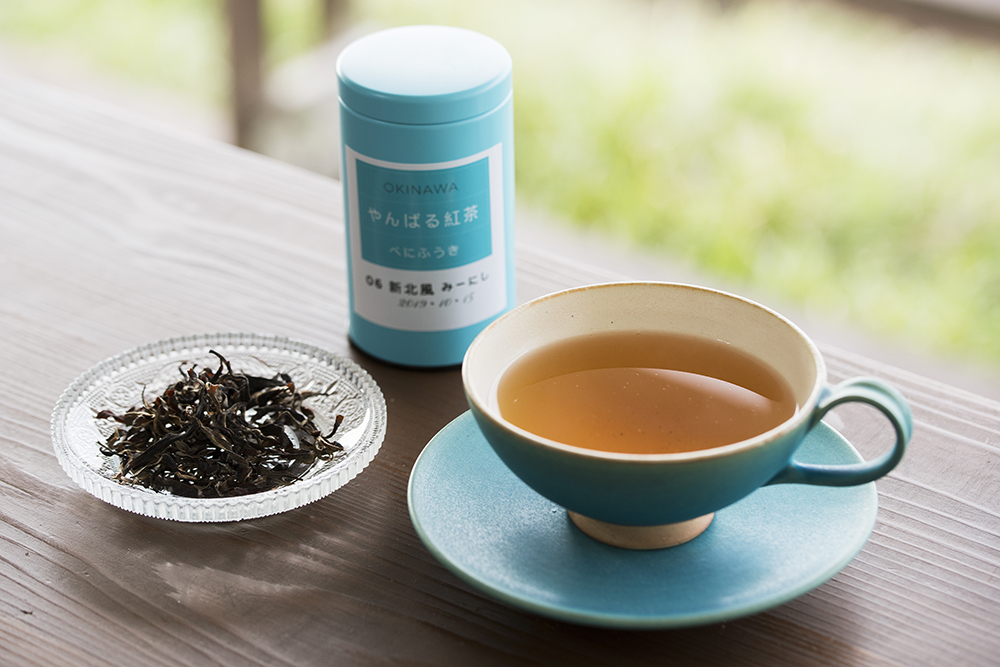 美ら海水族館近くのイタリアンレストランで提供される 食材の生産者の元を訪ねる Onestory