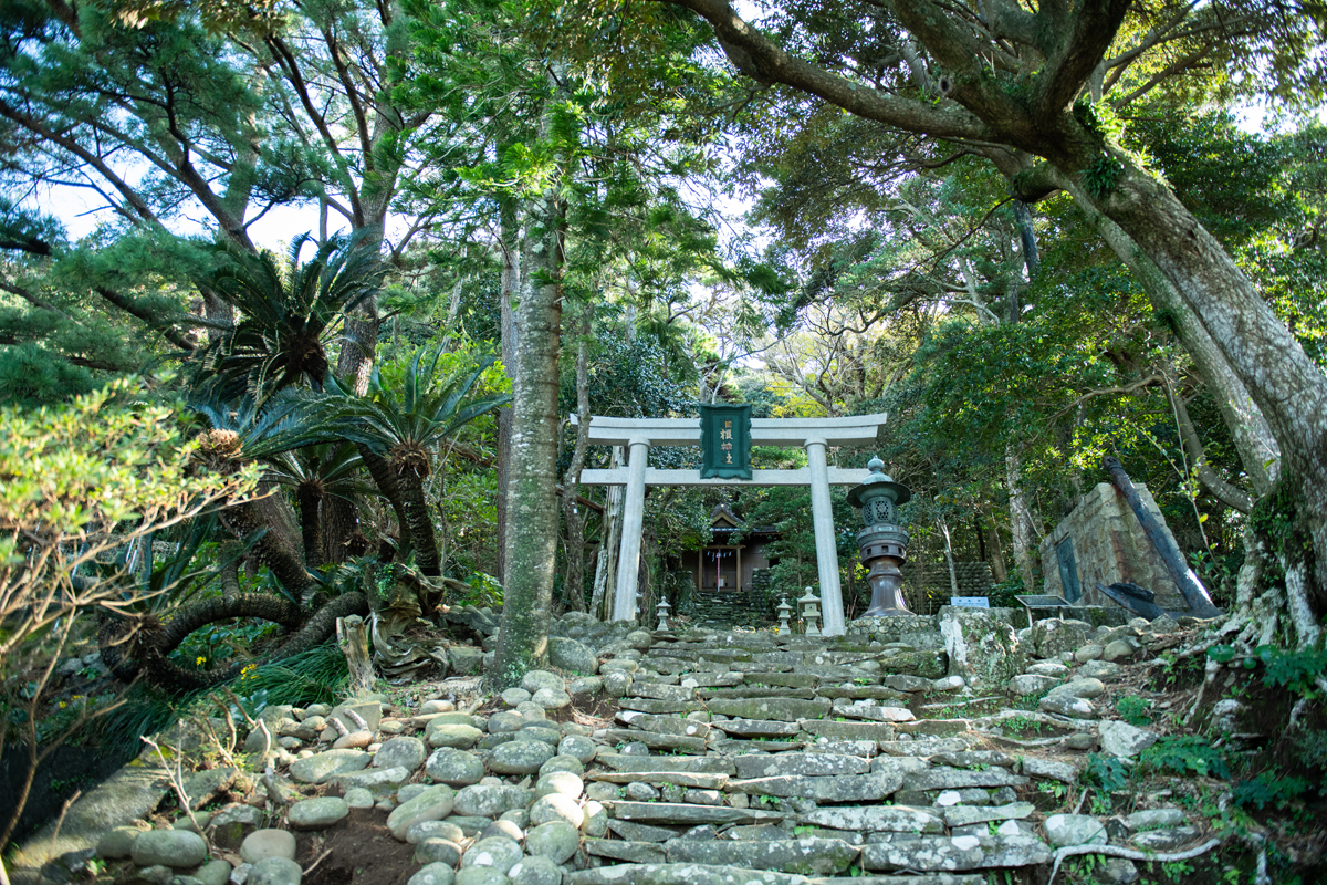 東京の離島 御蔵島に残る 神秘的な手付かずの自然 Onestory