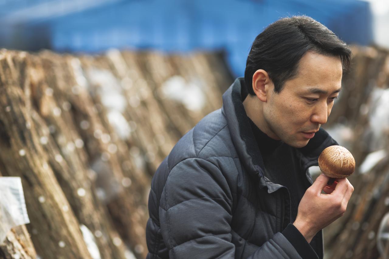 肉厚、繊細、たっぷり水分。鳥取県が誇る原木しいたけが、料理人を魅了