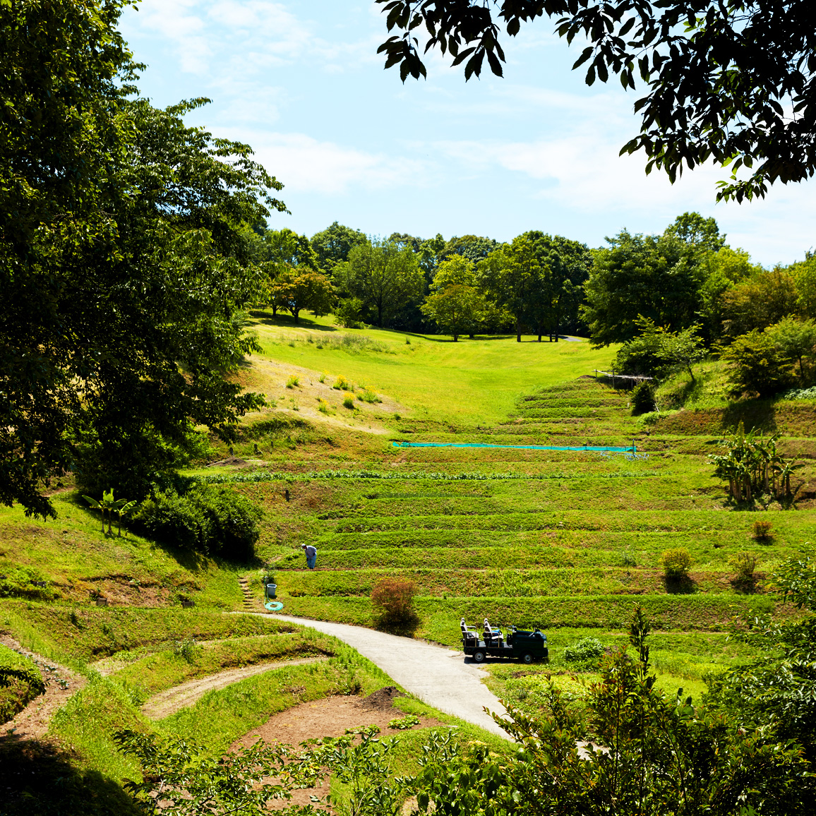 広大すぎる自然が形成する、圧倒的な景色。“LANDSCAPE”［天空の森