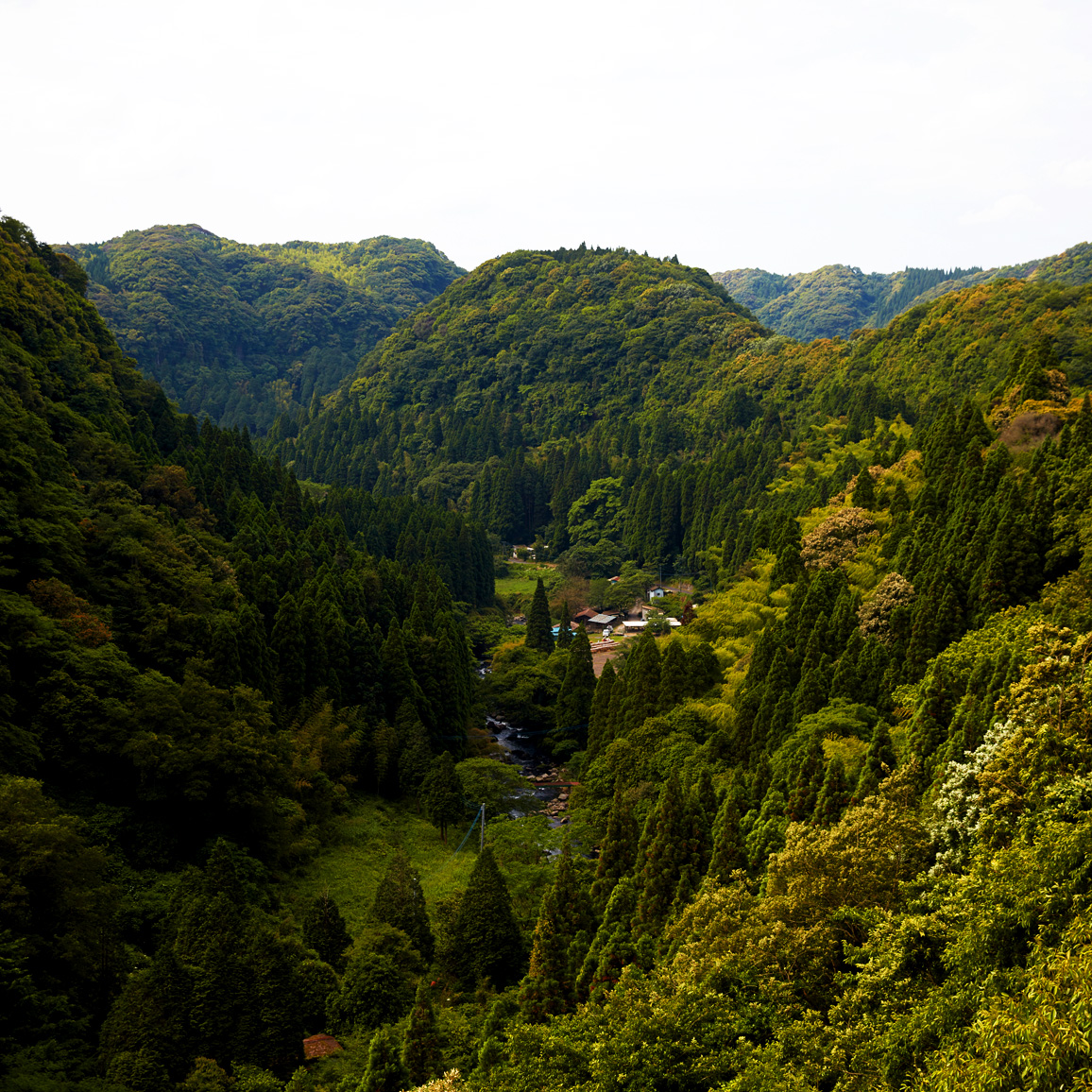 広大すぎる自然が形成する、圧倒的な景色。“LANDSCAPE”［天空の森