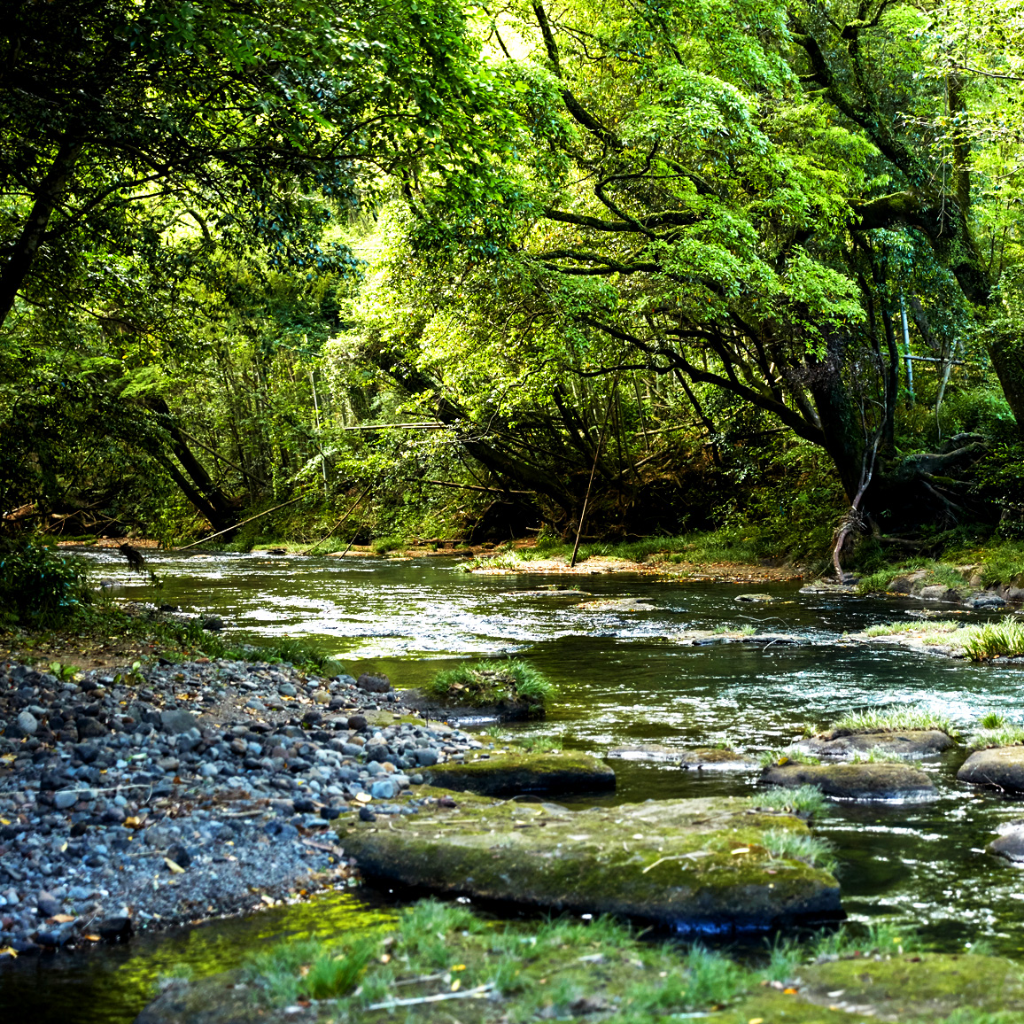 広大すぎる自然が形成する、圧倒的な景色。“LANDSCAPE”［天空の森