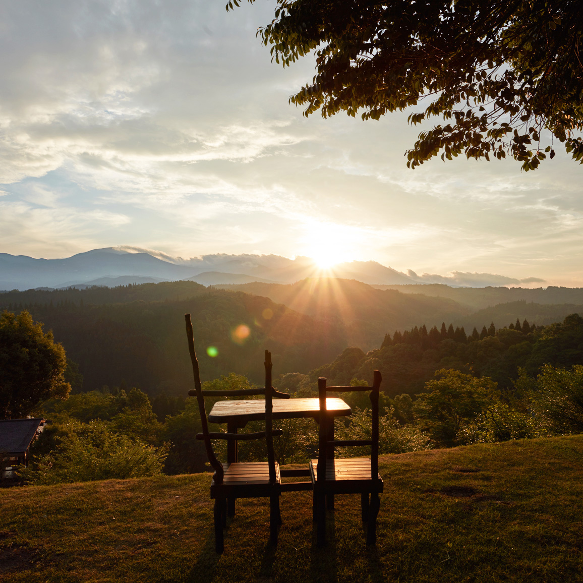 広大すぎる自然が形成する、圧倒的な景色。“LANDSCAPE”［天空の森