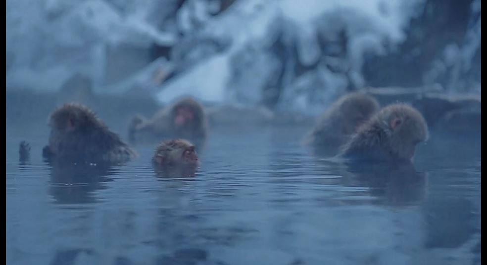 外国人による日本各地の写真集 ARTISTIAN on X