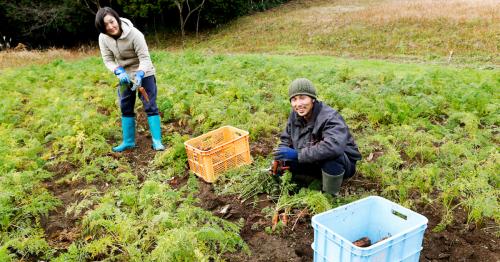 農業を通じて食に関する大切なことを発信 多くの共感を呼び起こす岡山での取り組み 蒜山耕藝 岡山県真庭市 Onestory