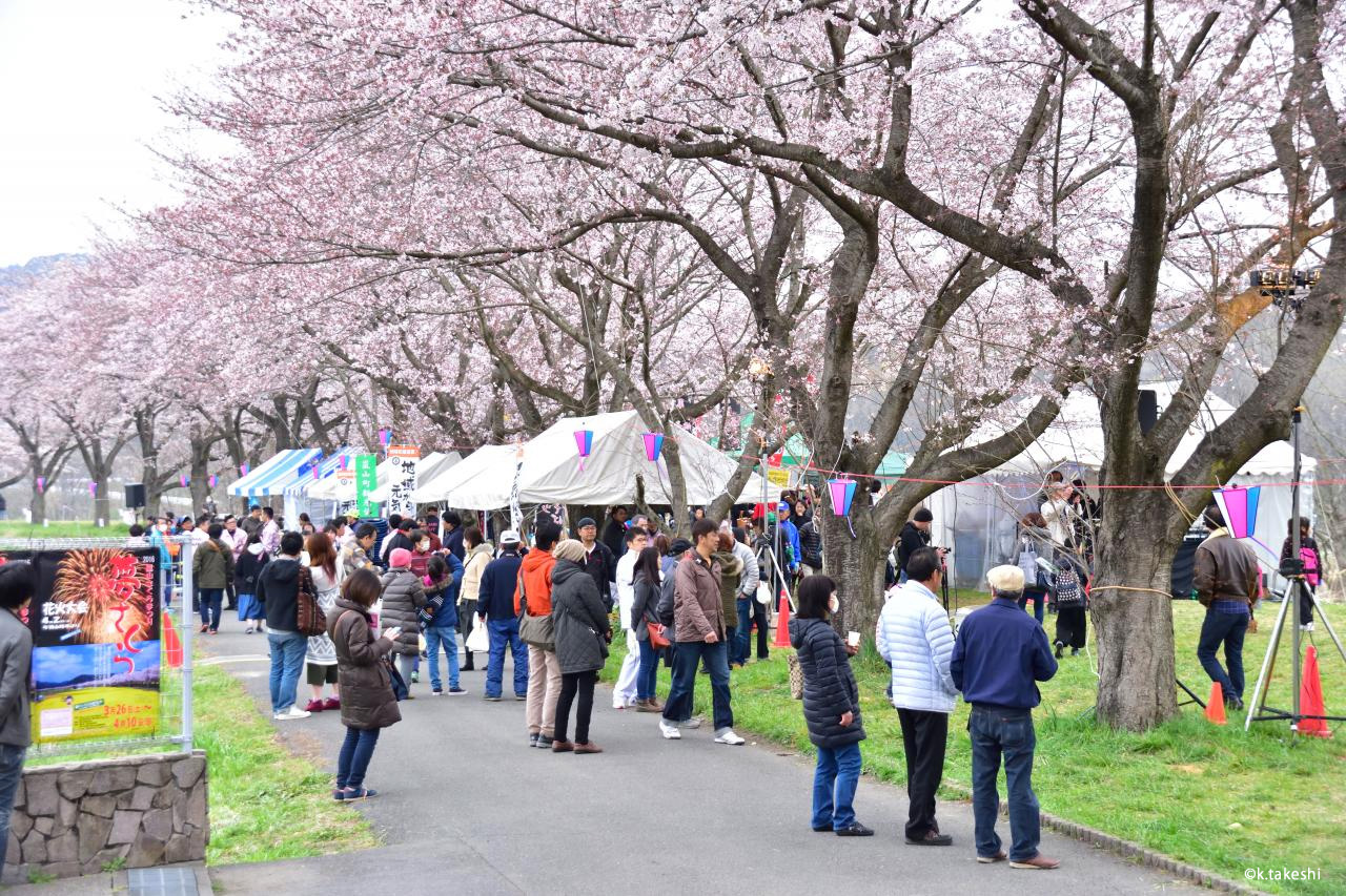 夜桜と花火 嵐山さくらまつり花火大会 埼玉県嵐山町 Onestory