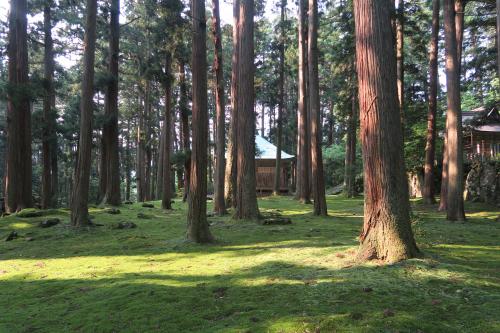 工芸品でも飾らず使う。一生使い続けたい「漆器」との出合い。［漆器