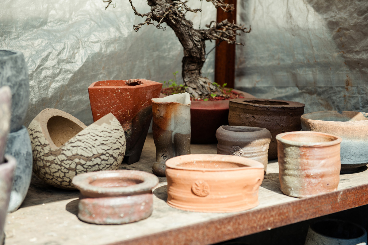 僕は何もしていない。ただ植物の力をそのまま伝えたい。［叢