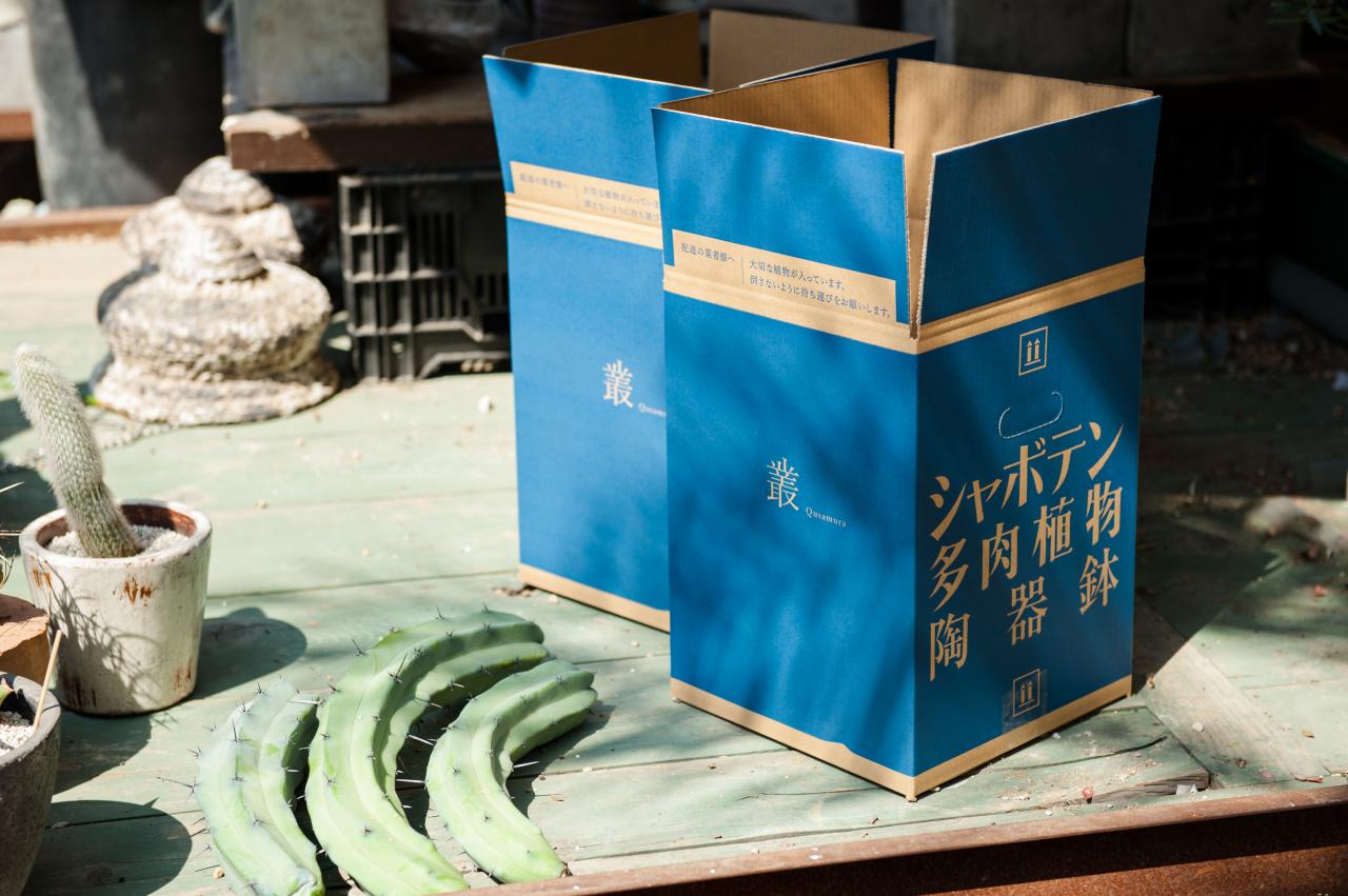 僕は何もしていない。ただ植物の力をそのまま伝えたい。［叢