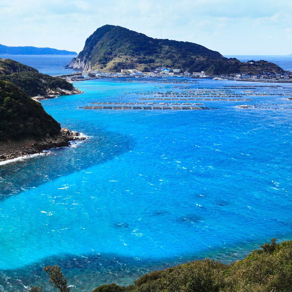 海流の交錯が生んだ日本屈指の透明度 柏島 高知県幡多郡 Onestory