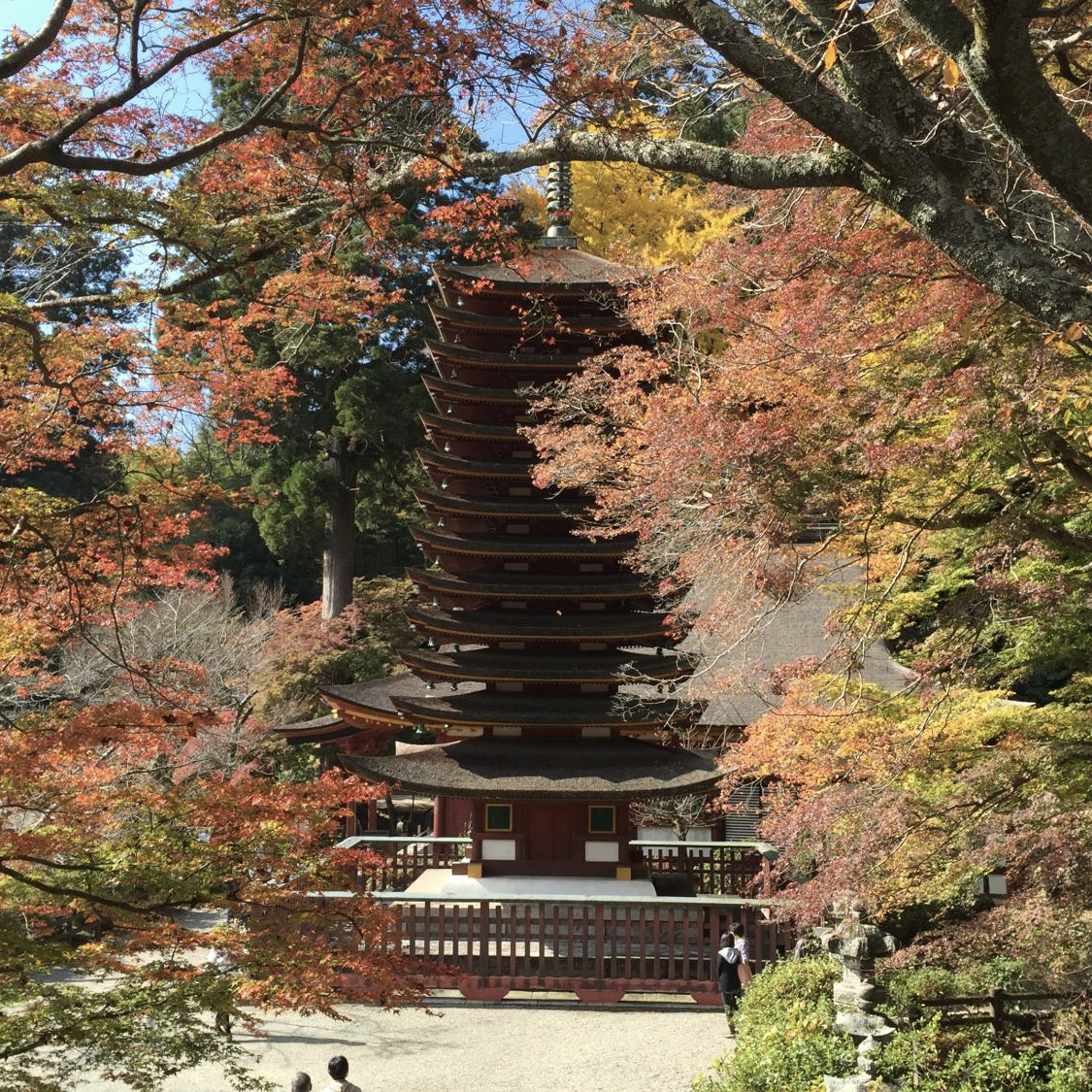 混沌としたフュージョンの世界を現す 古の神社 談山神社 奈良県桜井市 Onestory